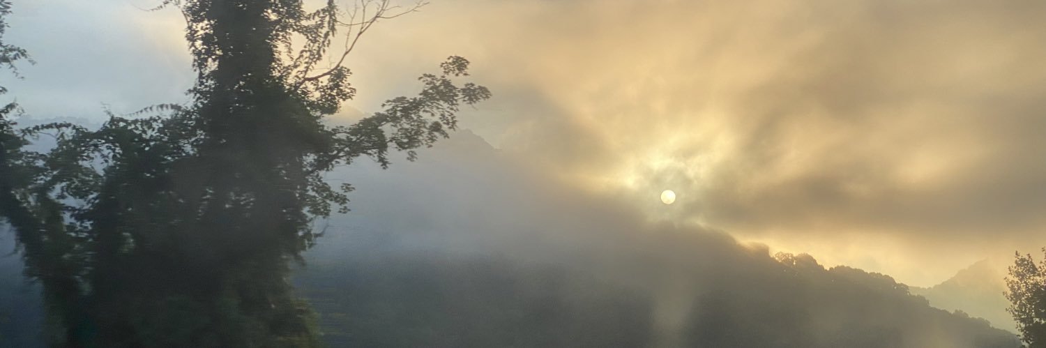 IamDhowe's profile banner image