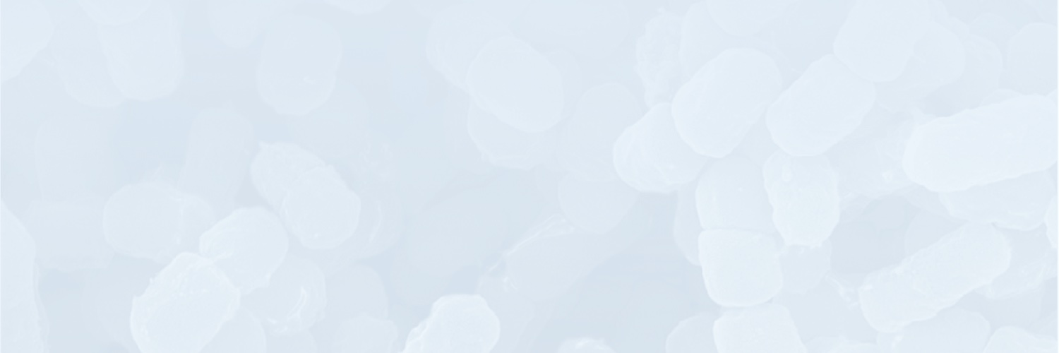 Enduro banner