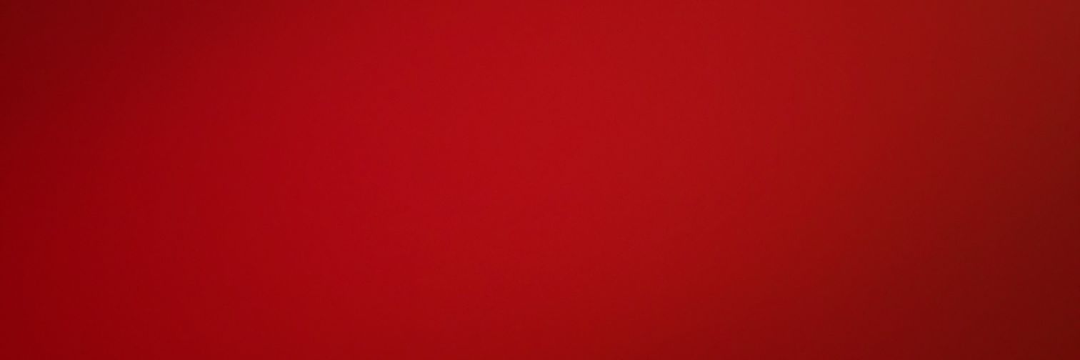 LevelUpPup's profile banner image