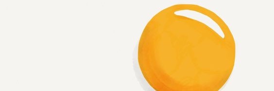 Laura Gasparotto banner