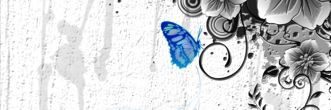 🦋ḉḧḀṆṮḕḶ🦋 Follow Help 🧚 banner