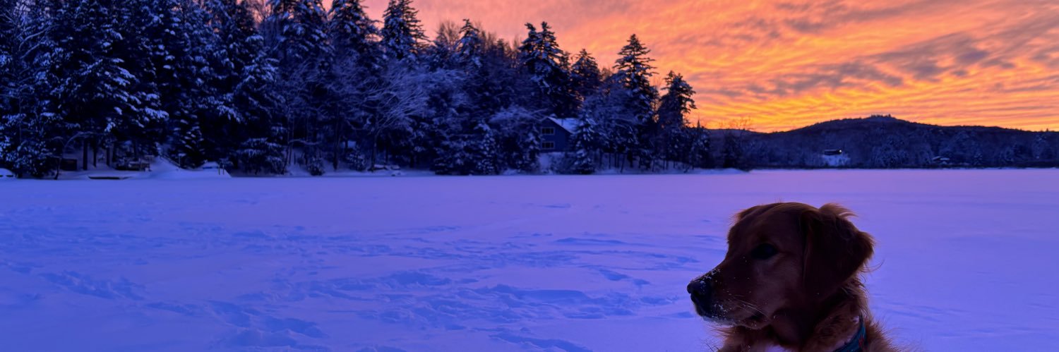 minkus721's profile banner image