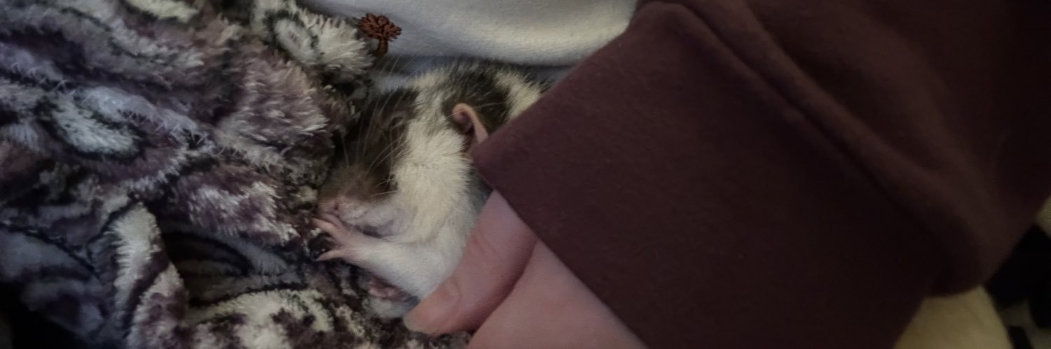 ⦯⃦̩∩⃥̸⃡⦮⃦̩ banner