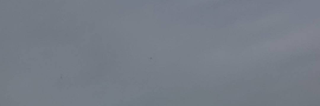 JamJellyJ 🍇 banner