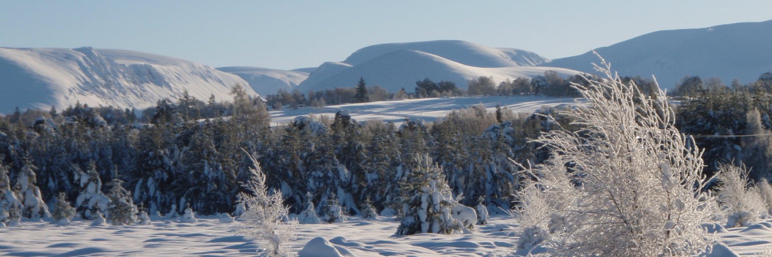 SWLG's profile banner image