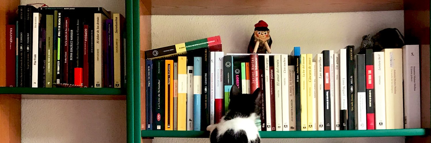 José Nicolás banner