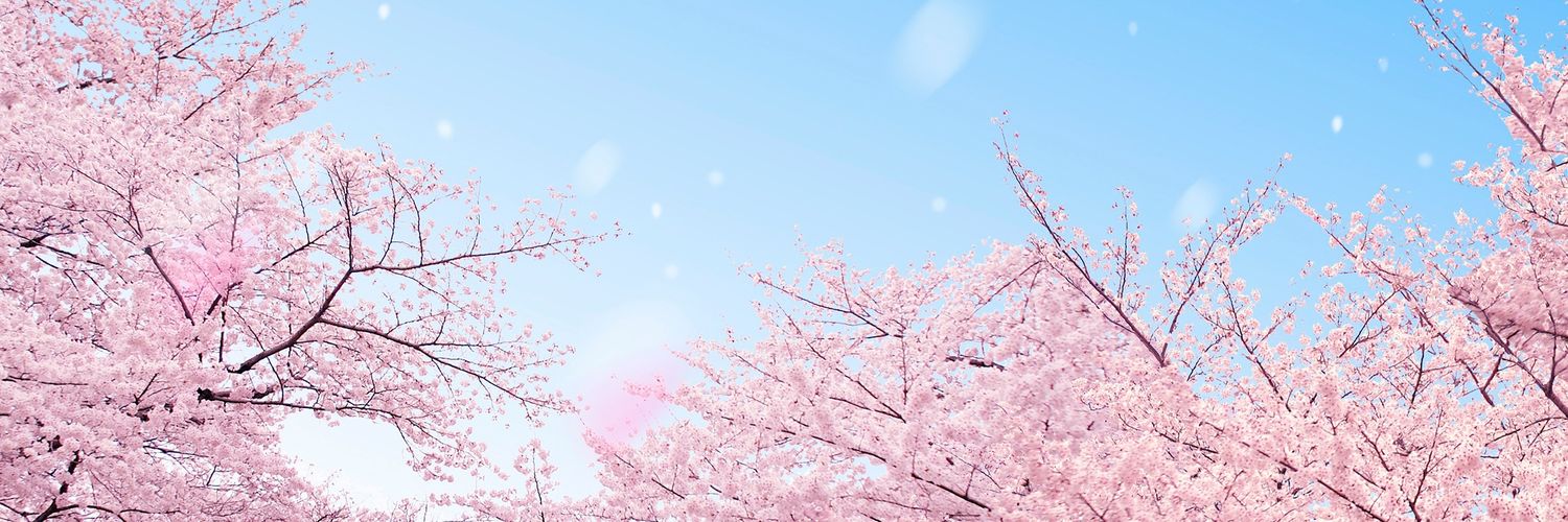 wakaba12's profile banner image