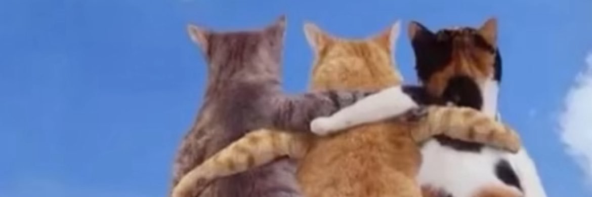 squeeXD's profile banner image