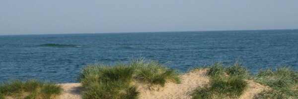 VikkiePage Profile Banner