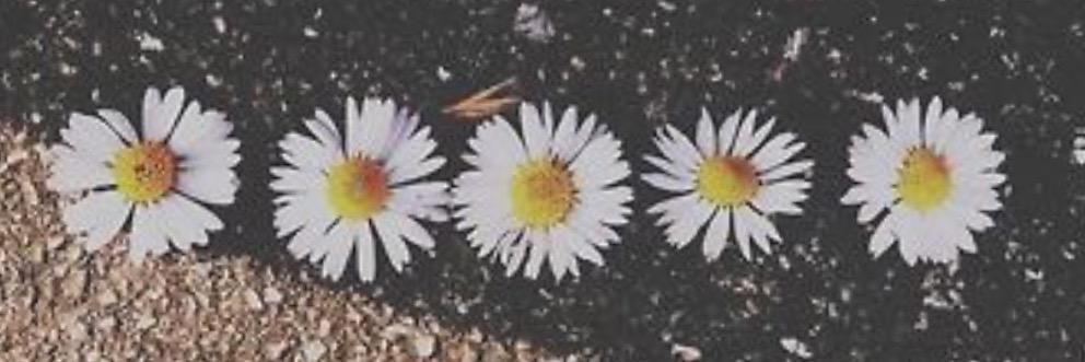 KorrinRose1's profile banner image