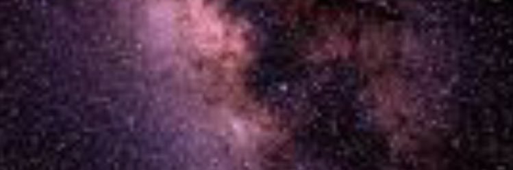 ☘️ shella kelly banner