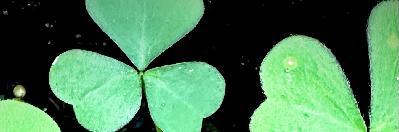 PastorMBarnett's profile banner image