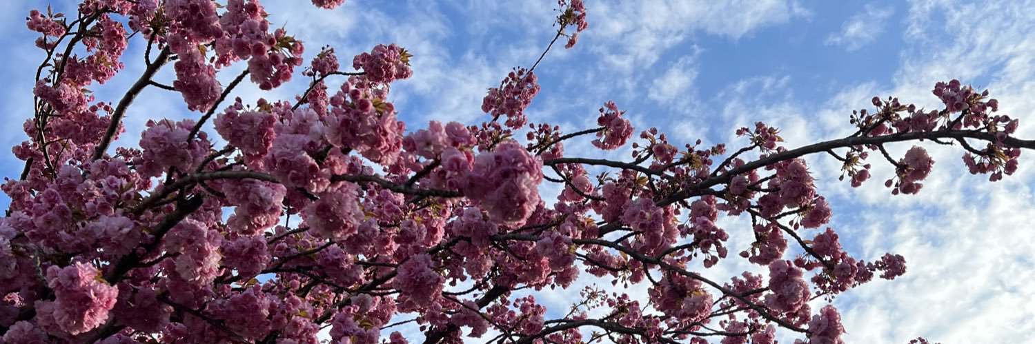 thhtrn_'s profile banner image