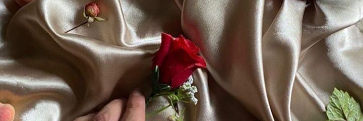 Meell_VB's profile banner image