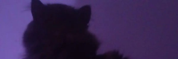 phoolan_deviesq Profile Banner