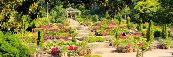 PonziniG Profile Banner