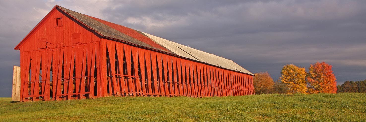 Paulette Darcey banner