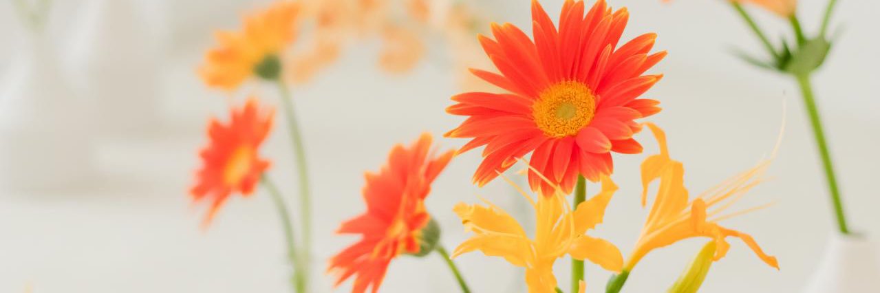 2534192's profile banner image