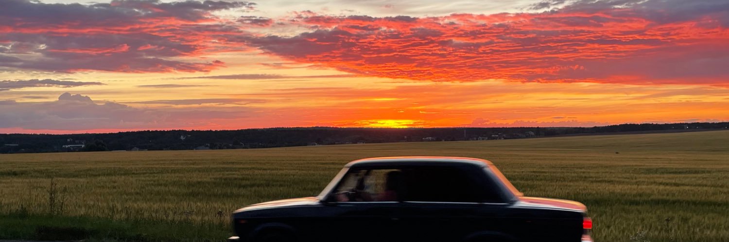 The Poll Lady banner