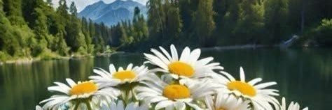 edpoyy's profile banner image