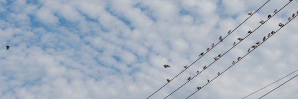 nao7942021 Profile Banner