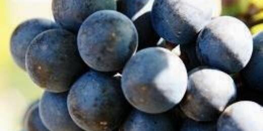 Mathieu Hervé banner