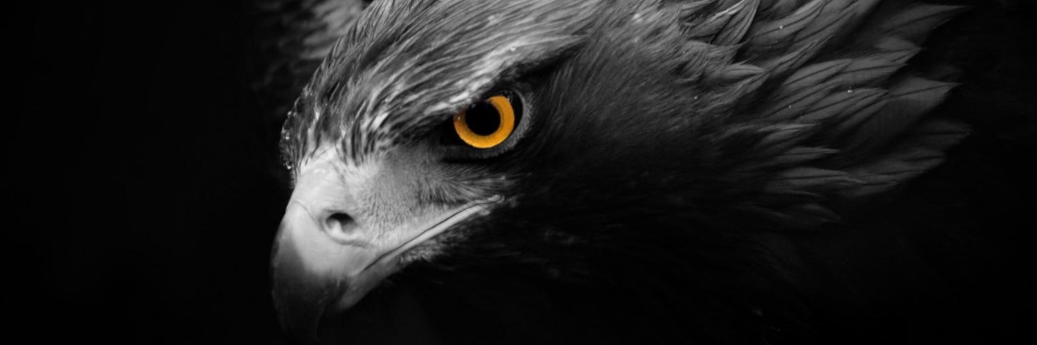 JuanMenZoom's profile banner image