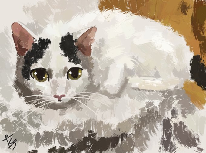 PennyMac96's profile banner image
