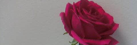 deyambe's profile banner image