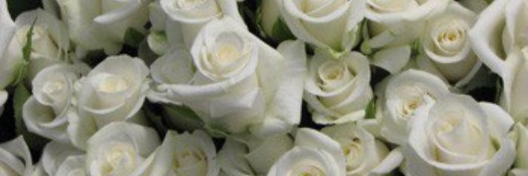 mar_had's profile banner image