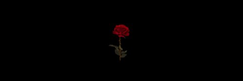 mo7a_98's profile banner image