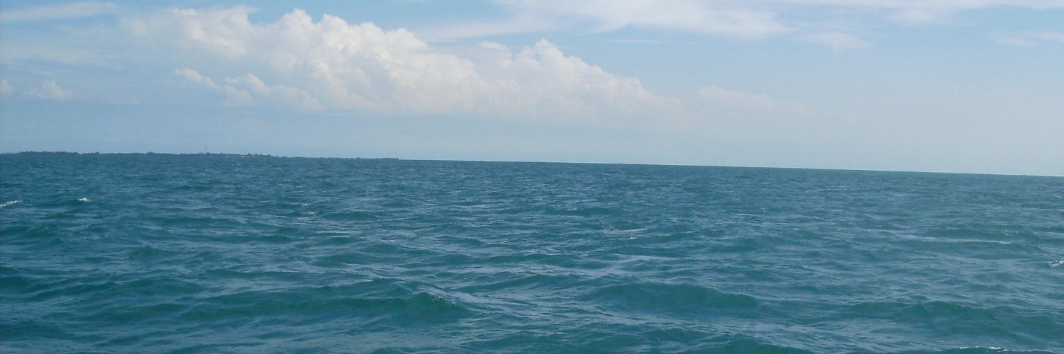 denitrisna's profile banner image