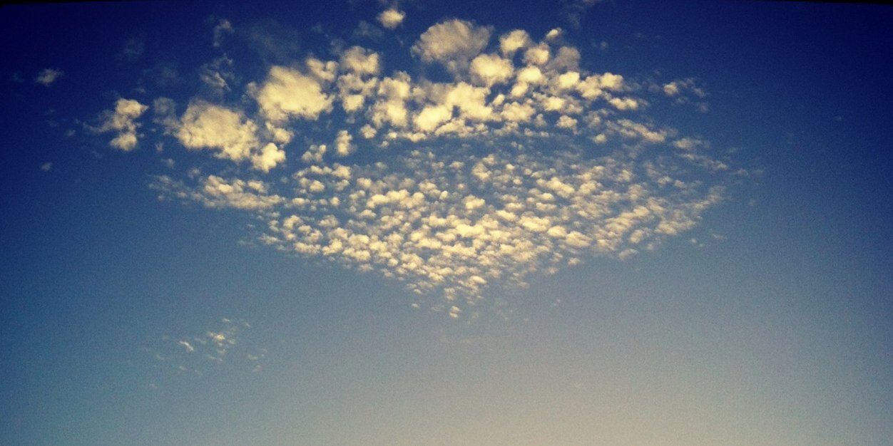 Brenda Fitzsimons banner