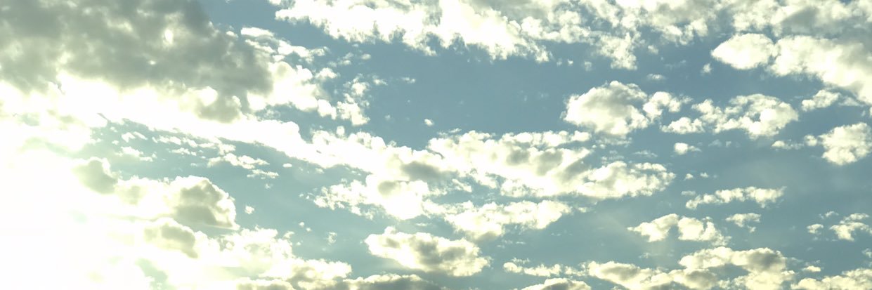 AlexsisGramigna's profile banner image