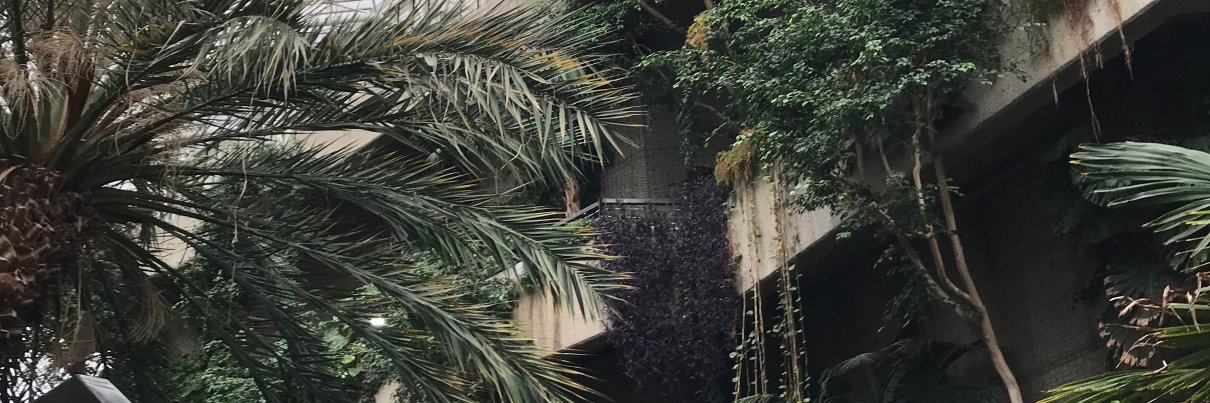 Eleanor Kilroy banner