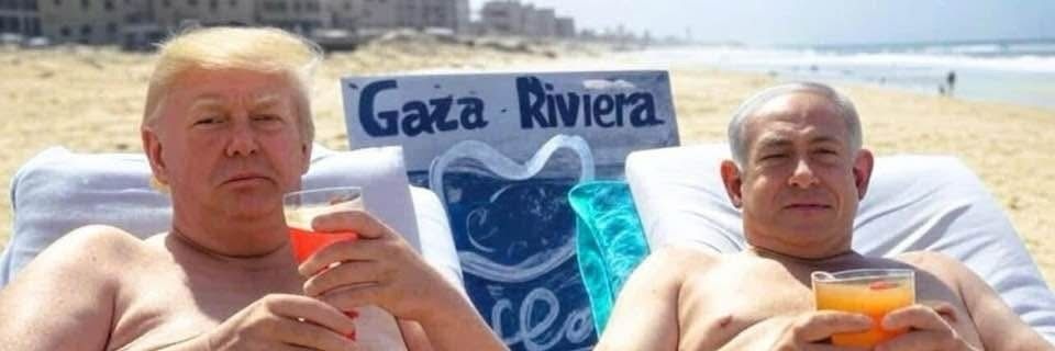 Dahan Gérald 🌿🇫🇷🇮🇱 banner