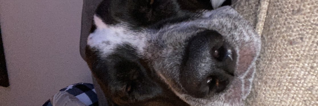 cheesycolbz's profile banner image