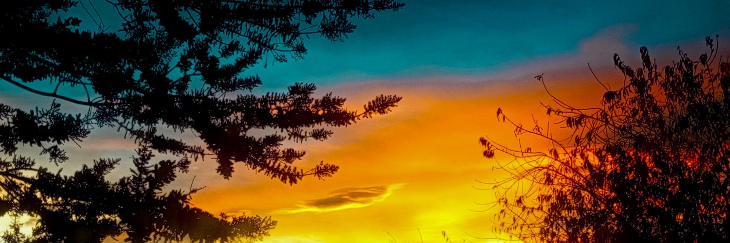 madsvertising's profile banner image
