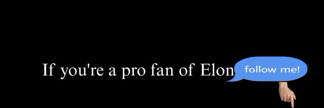 Fan Elon Musk banner
