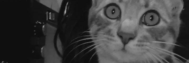 CorbaniAgus's profile banner image