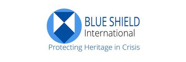 BlueShield_Int Profile Banner