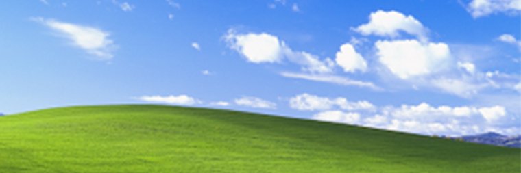 mint38-24-38 banner