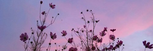Mykala69's profile banner image