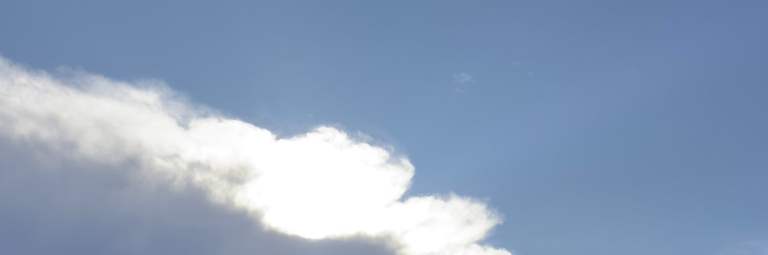mayacardona's profile banner image