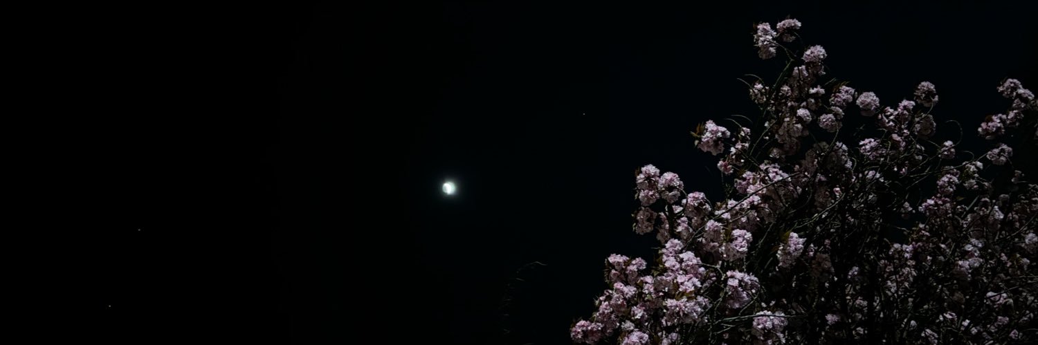 tyler. banner