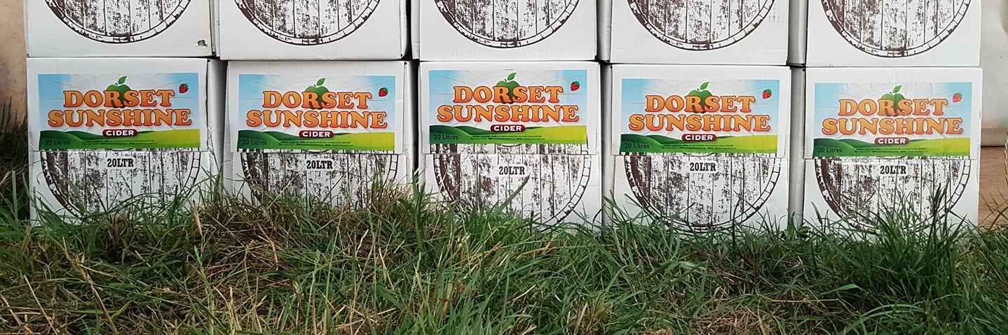 DSCider's profile banner image