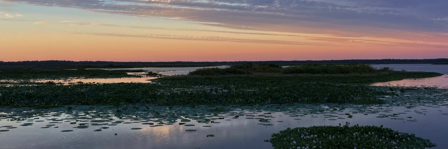 Tylor Mathieu banner