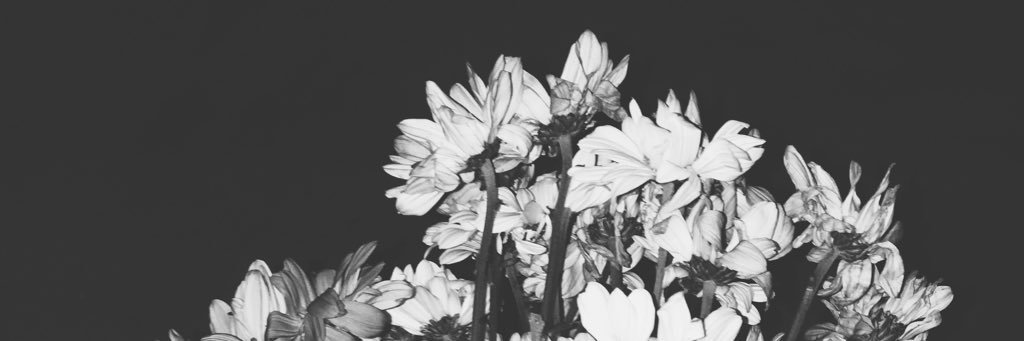 btchin0_'s profile banner image
