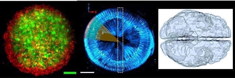 Giannis Zacharakis banner