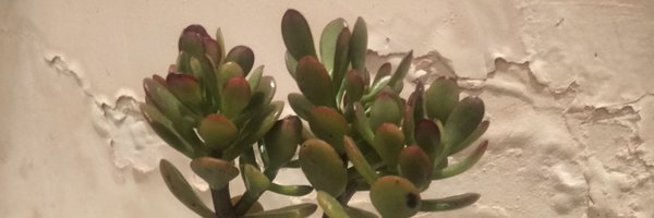 sayPmaplz Profile Banner